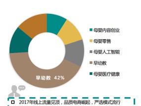 母婴市场比例解析，细分赛道与未来趋势母婴市场比例